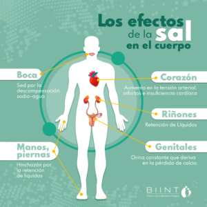 ¿Qué Efectos Tiene Comer Con Mucha Sal? | Blog | BIINT